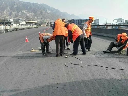 龙马潭道路桥梁病害治理